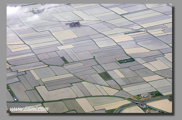 NOVARA: RICE FIELDS 